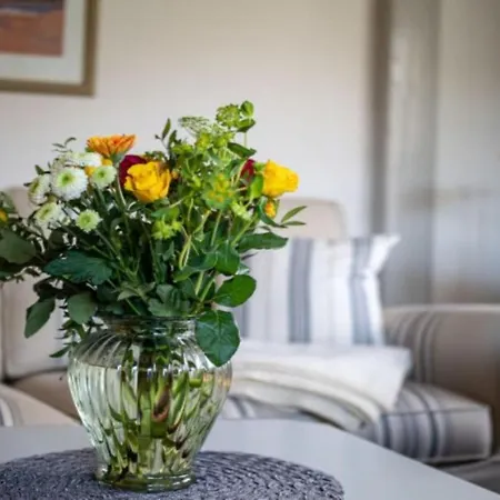 Appartement Ferienhaus Ad Fontes Ferienhaus Adfontes App Ost Wenningstedt-Braderup